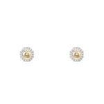 Arte Madrid I'm 120V Exquisito Stud Earrings - Canary Yellow